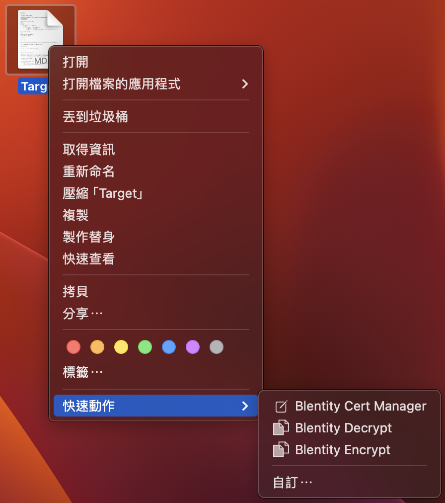 File Encryptor in MacOS