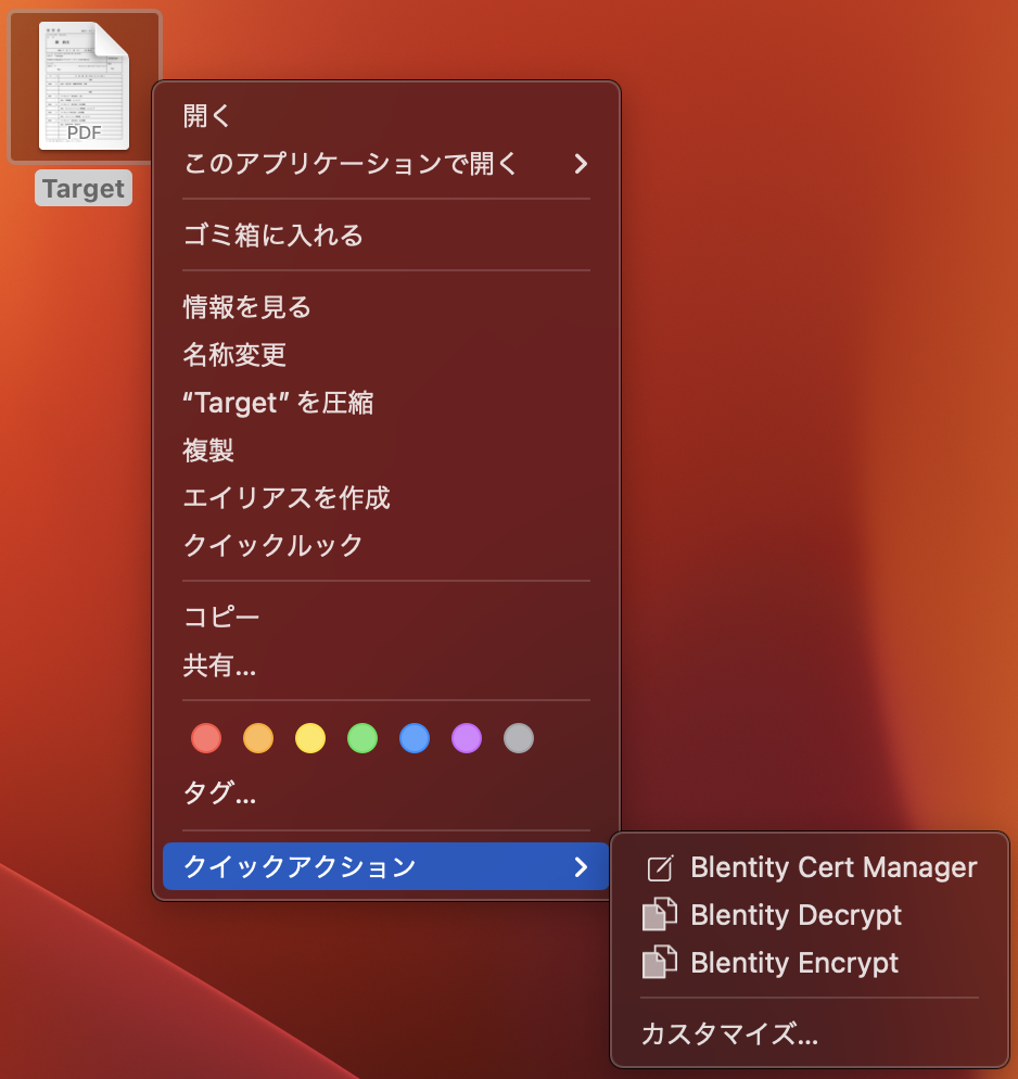 File Encryptor in MacOS